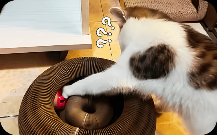 動画を読み込む: 