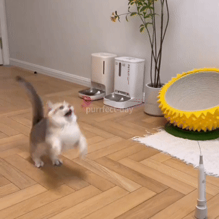 ワイルドウィングチェイス™（羽ばたく猫じゃらし） 商品画像 1