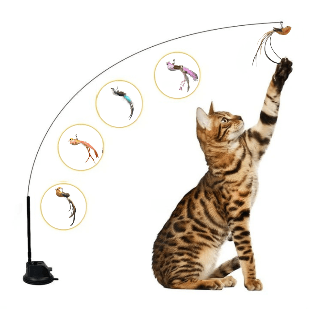 セルフプレイハンティングトイ（吸盤式鳥の猫じゃらし） 商品画像 7
