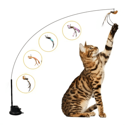 セルフプレイハンティングトイ（吸盤式鳥の猫じゃらし） 商品画像 7