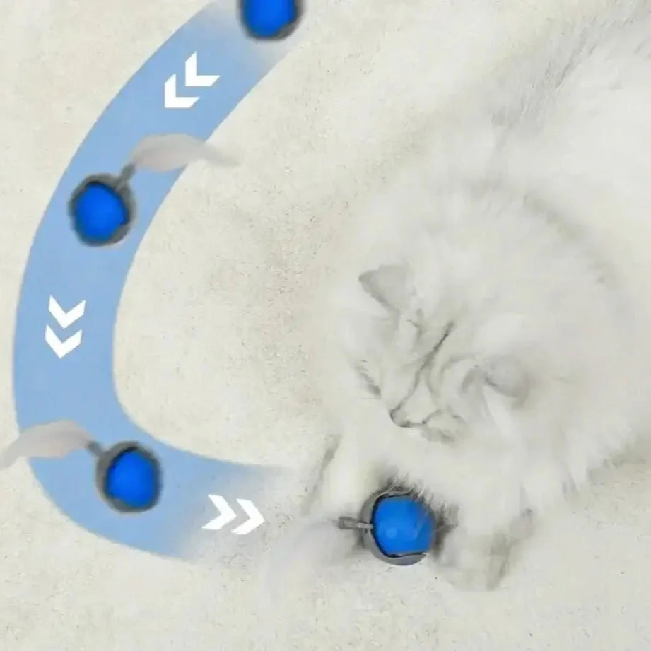 SPEEDY TAIL 2.0（スピーディテイル） 商品画像 6