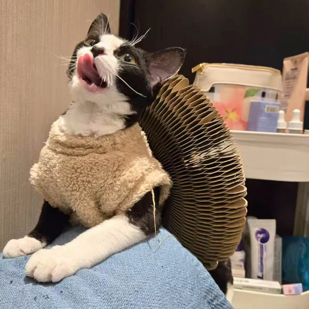 kittyspin