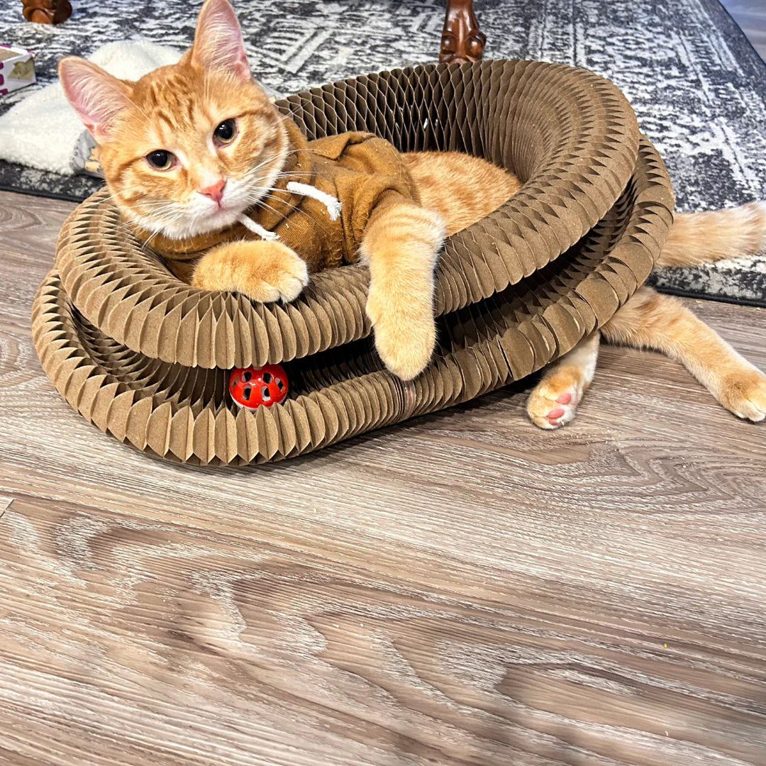 kittyspin