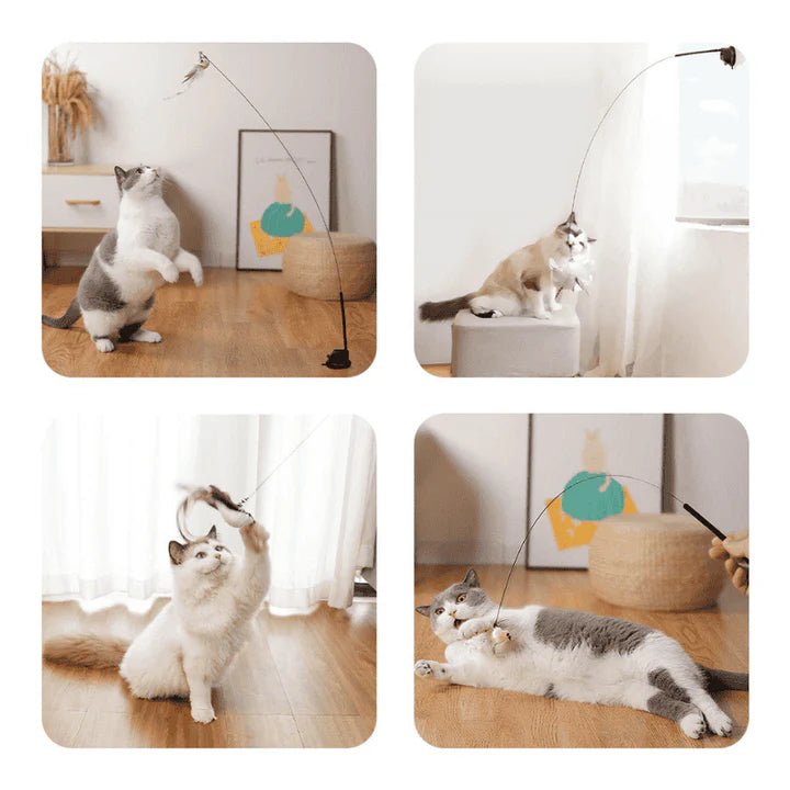 セルフプレイハンティングトイ（吸盤式鳥の猫じゃらし） 商品画像 3