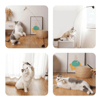 セルフプレイハンティングトイ（吸盤式鳥の猫じゃらし） 商品画像 3