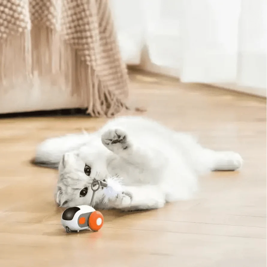TURBO TAIL 2.0（ターボテイル） 商品画像 5
