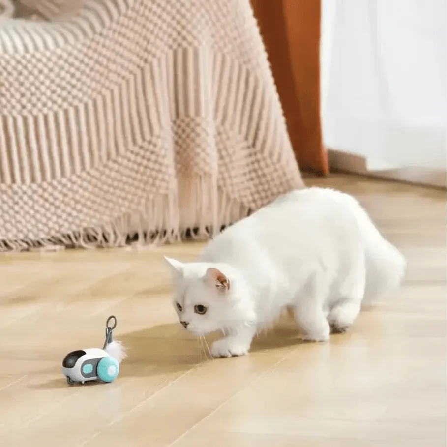 TURBO TAIL 2.0（ターボテイル） 商品画像 4