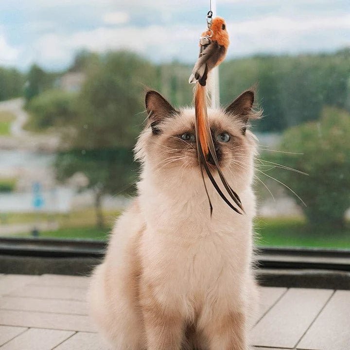 セルフプレイハンティングトイ（吸盤式鳥の猫じゃらし） 商品画像 1
