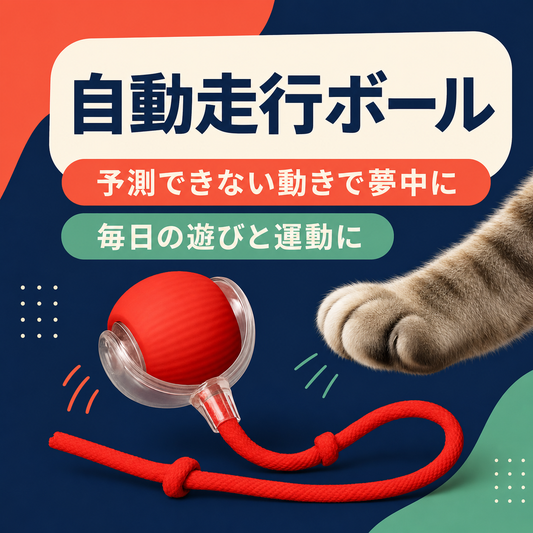 インタラクティブローリングボール™（自動走行ボール） 商品画像 1