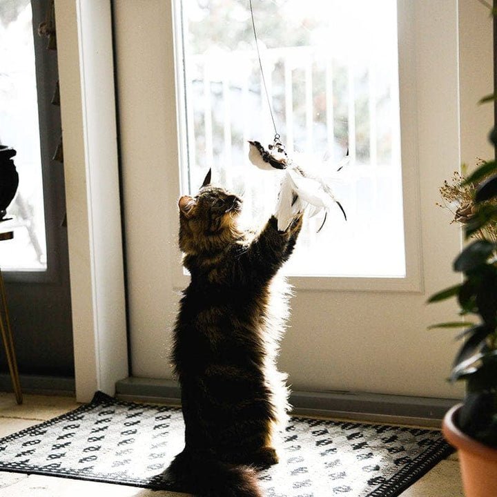 セルフプレイハンティングトイ（吸盤式鳥の猫じゃらし） 商品画像 6
