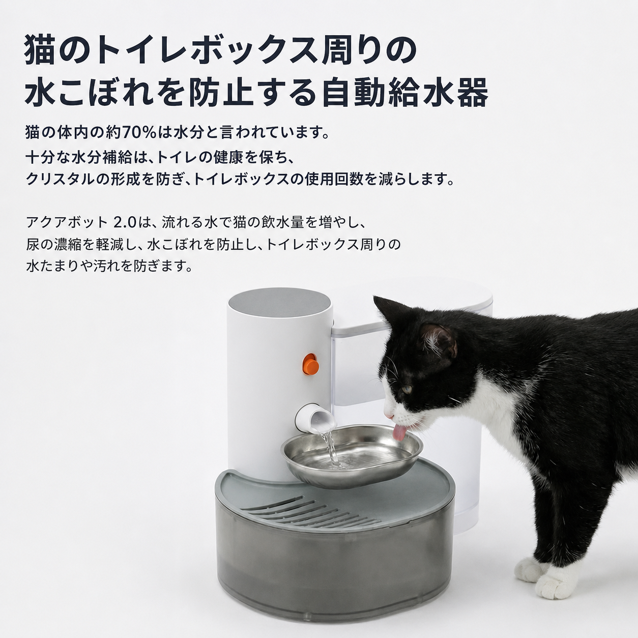 Aqua Bot 2.0 アクアボット｜フィルター不要の猫用自動給水器 商品画像 19
