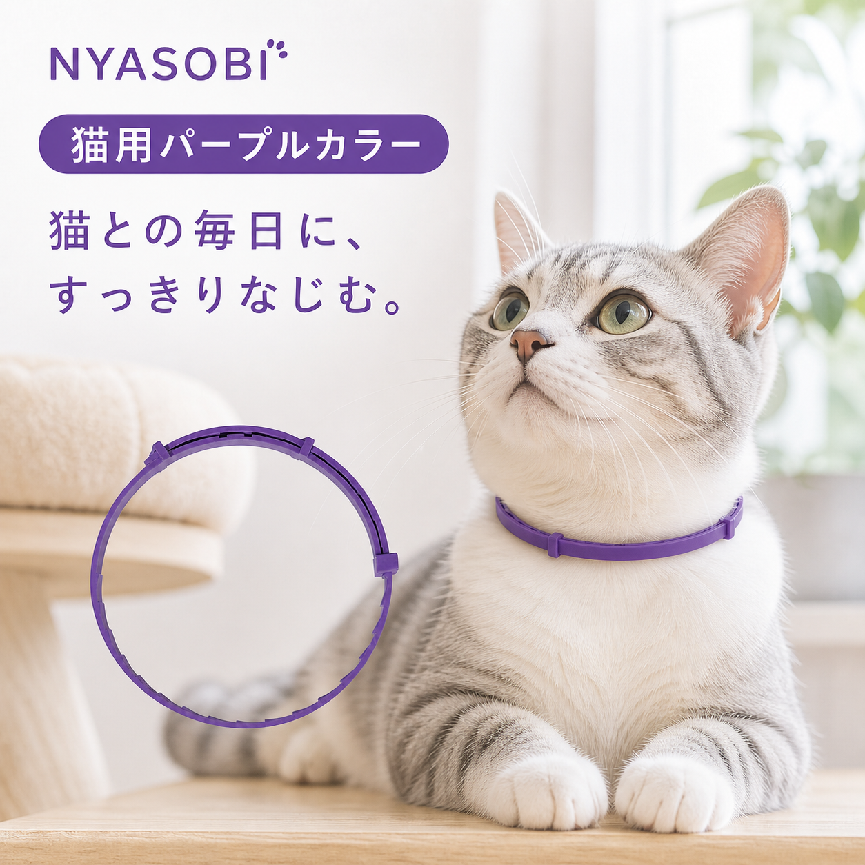 CalmFurry フェロモン首輪（猫用リラックスカラー） 商品画像 3