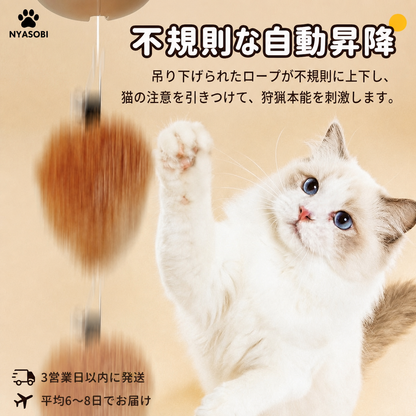 カピバラポップアップ™ インタラクティブ猫おもちゃ 商品画像 4
