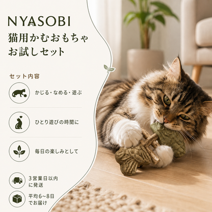 デンタルケア お試しセット 商品画像 2