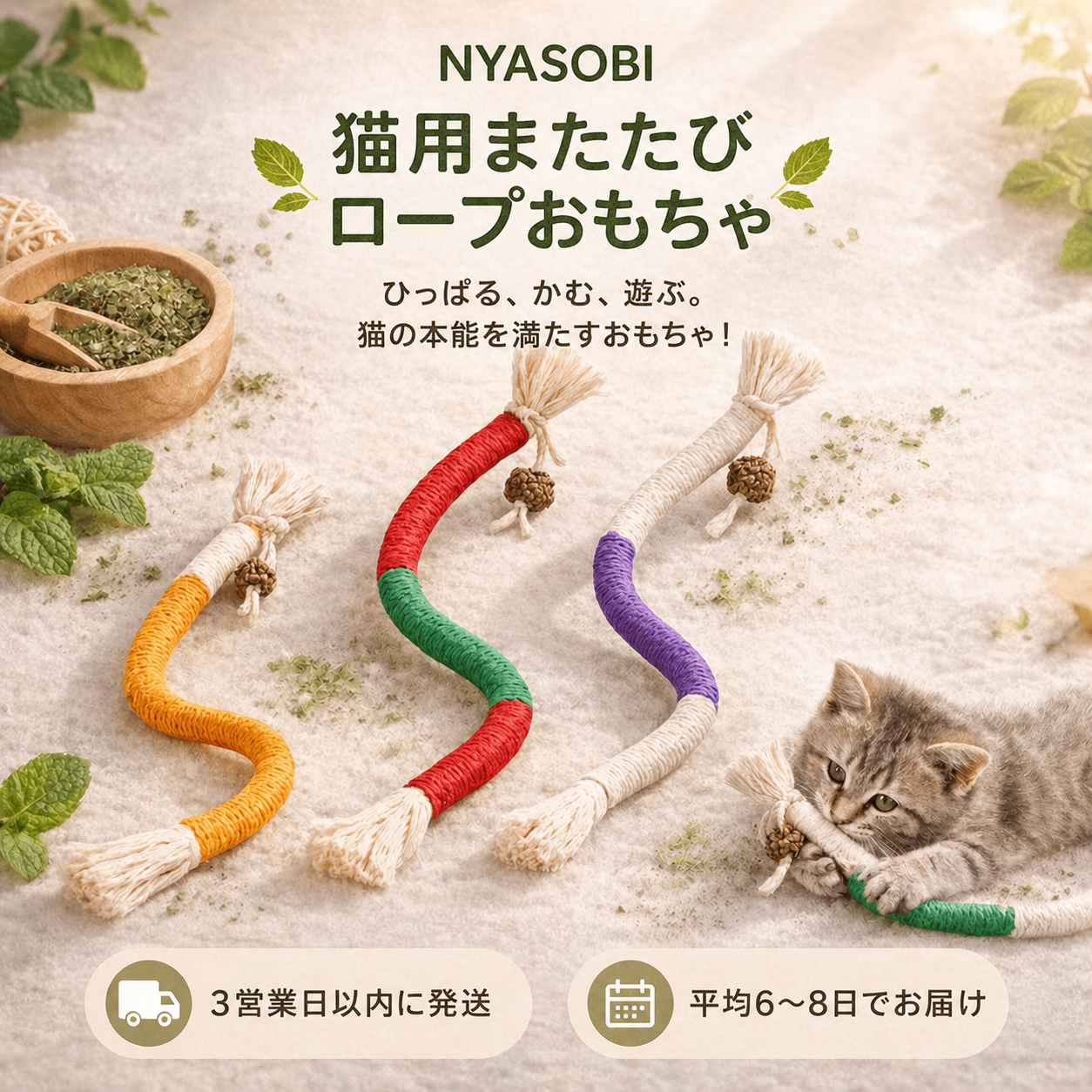 デンタルケア お試しセット 商品画像 3