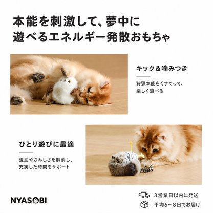 ChirpBuddy™ チャープバディ｜鳴く鳥のインタラクティブ猫おもちゃ 商品画像 4