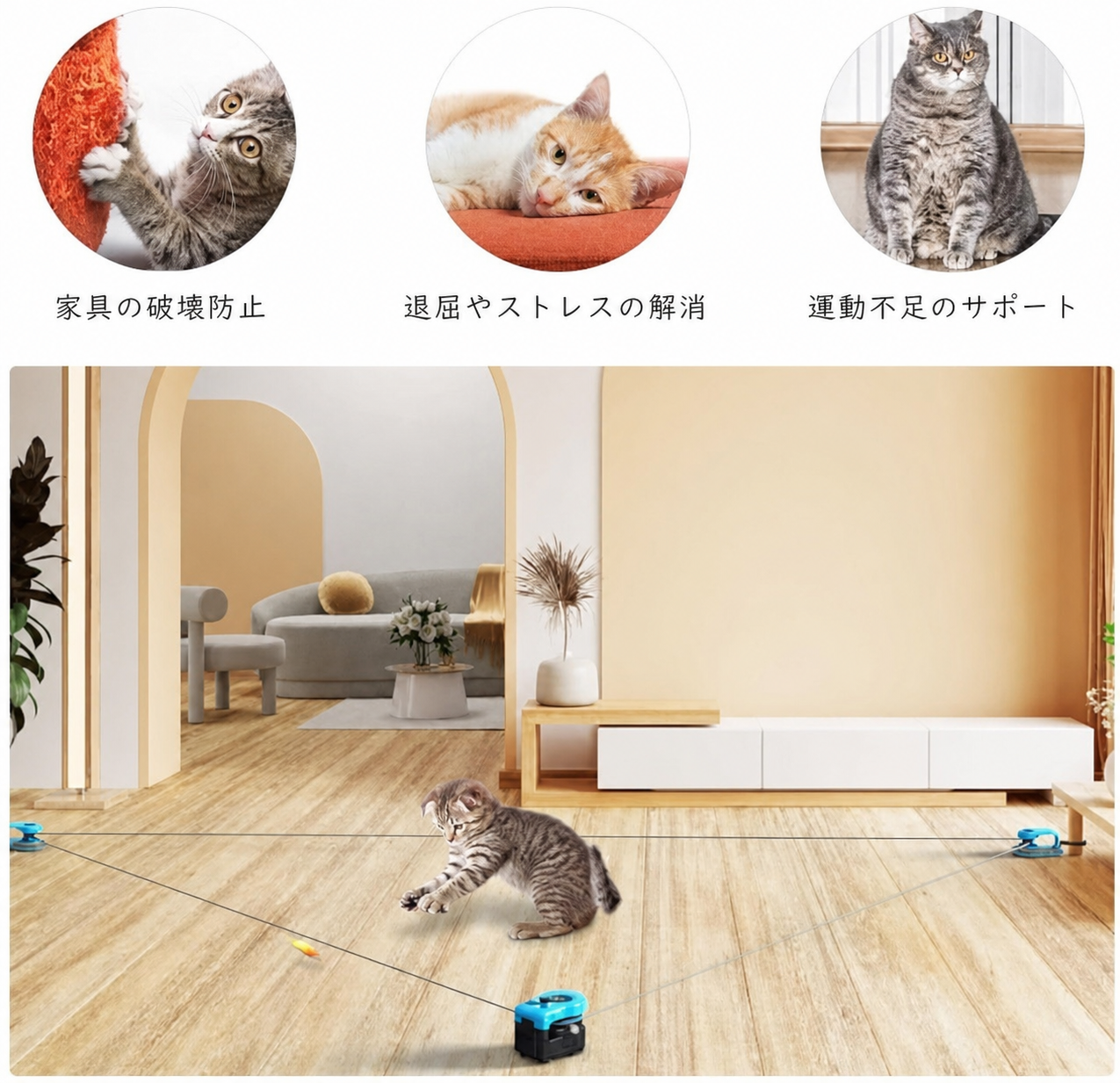 HuntMaster™ ハントマスター（自動走行猫じゃらし） 商品画像 5
