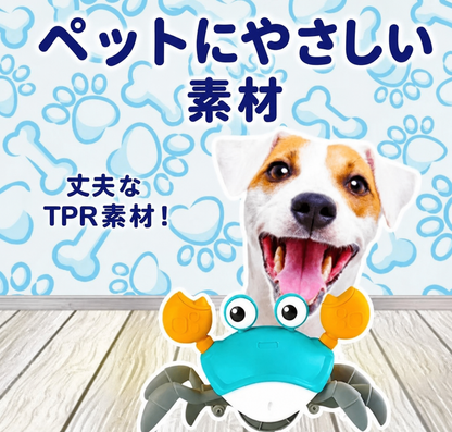 クローリングクラブ™（動くカニの知育トイ） 商品画像 4