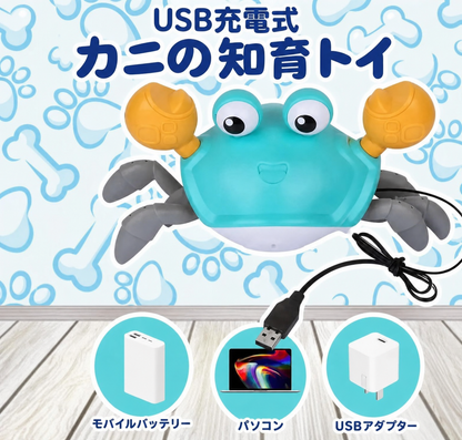 クローリングクラブ™（動くカニの知育トイ） 商品画像 5