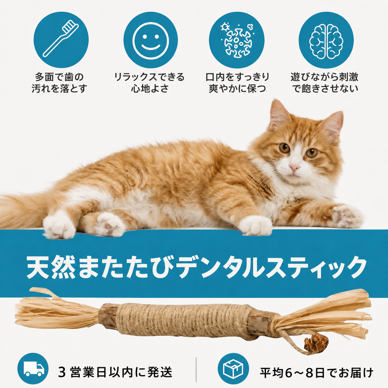 天然またたびデンタルスティック 商品画像 4