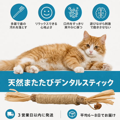 天然またたびデンタルスティック 商品画像 4
