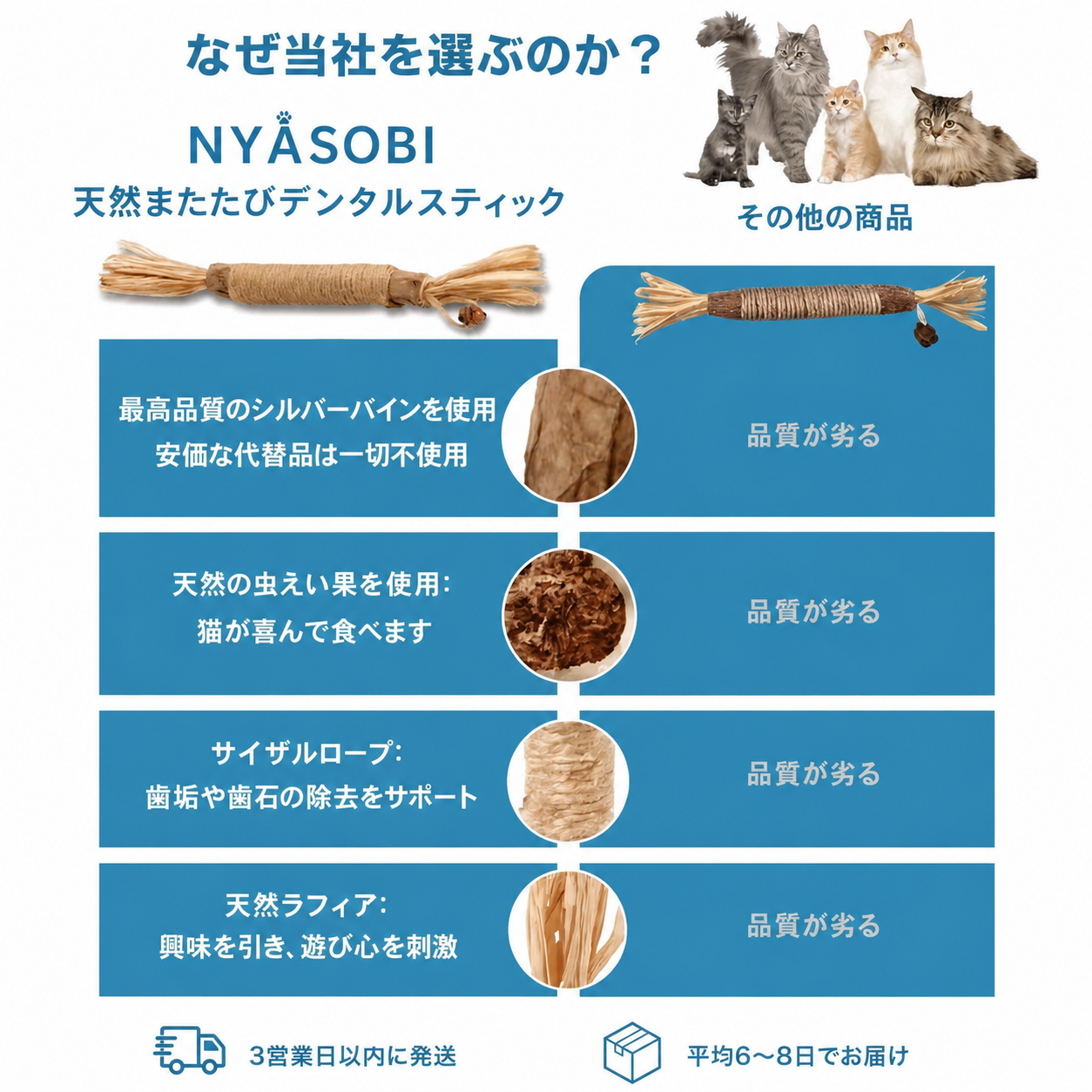 天然またたびデンタルスティック 商品画像 6
