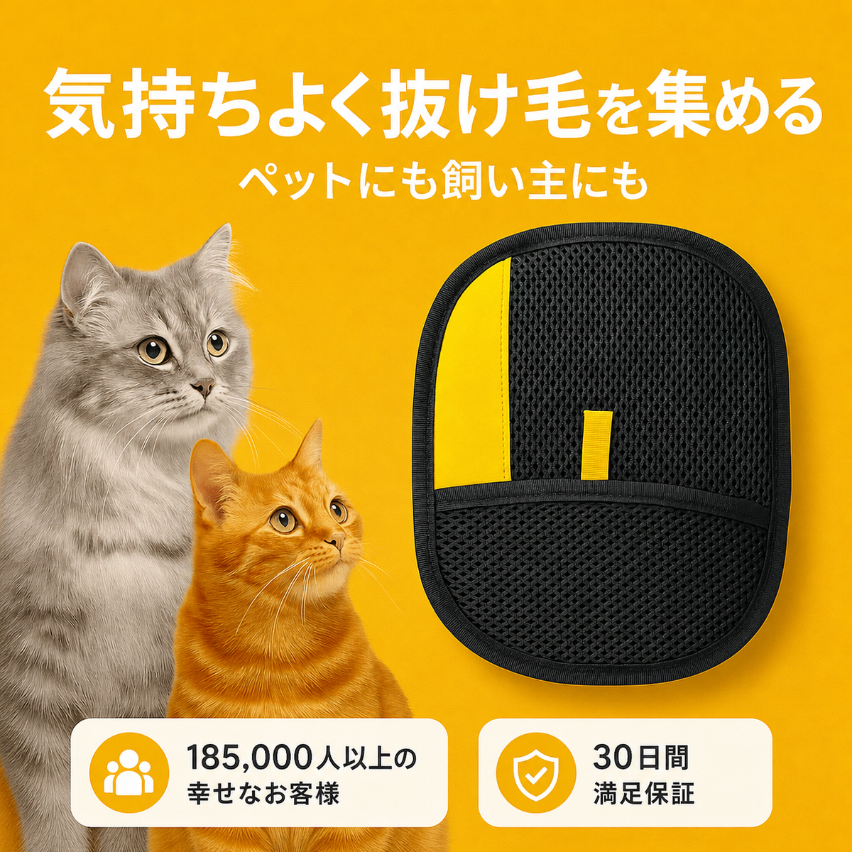 NYASOBI 商品説明画像 111 日本語版