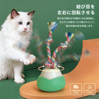 回転ボール猫用おもちゃ（ローテーティングボール） 商品画像 2