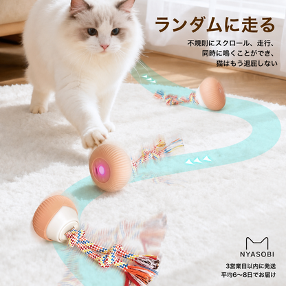 回転ボール猫用おもちゃ（ローテーティングボール） 商品画像 6