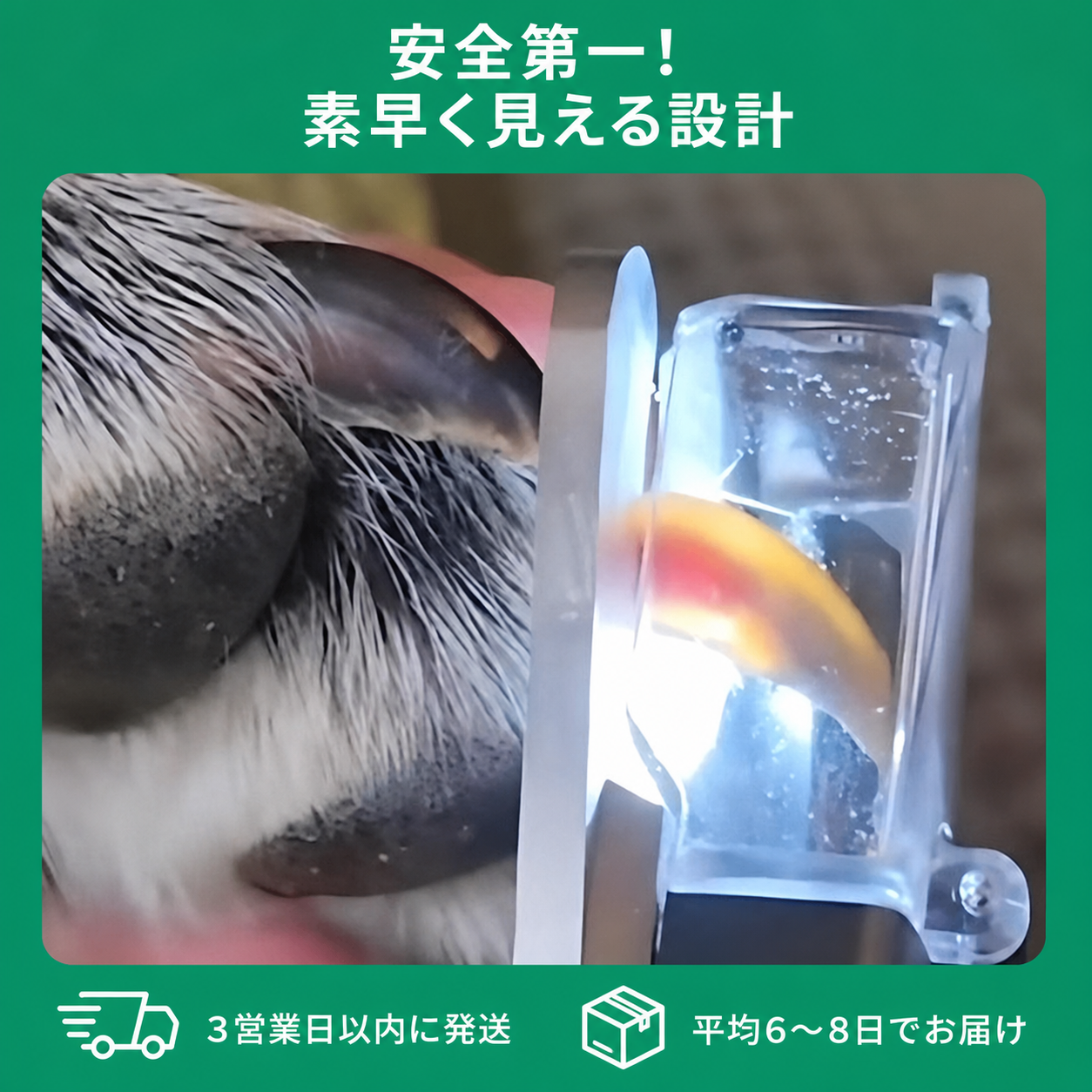 SafeTrim セーフトリム（猫用爪切り） 商品画像 5