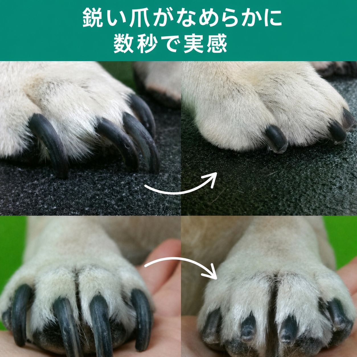 SafeTrim セーフトリム（猫用爪切り） 商品画像 6