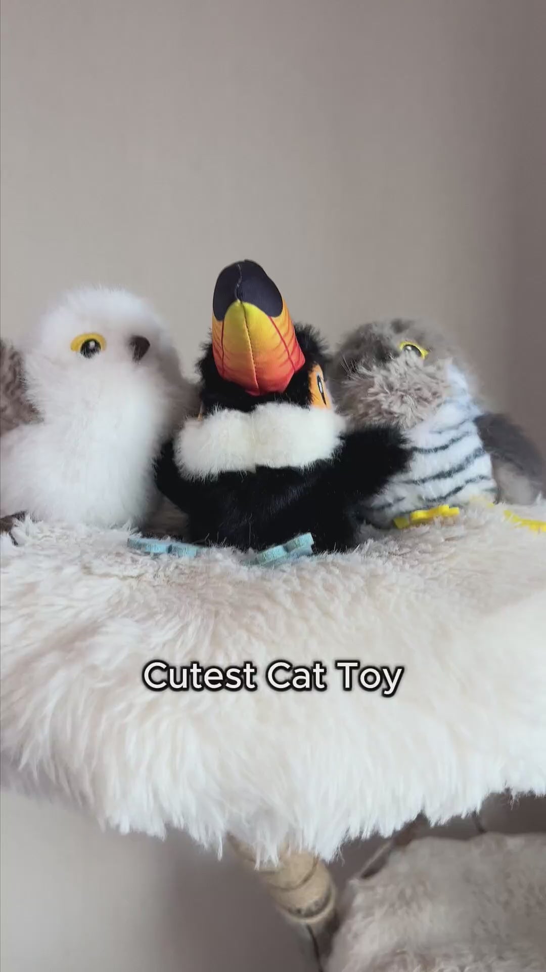 静かな家で、猫は何時間も退屈しています。