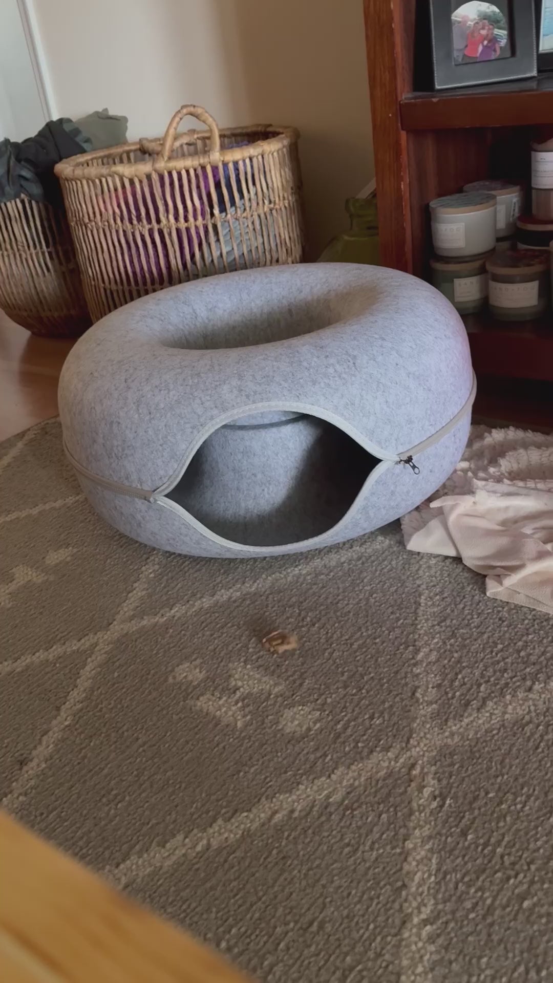 猫が箱に入りたがるのには、理由があります。
