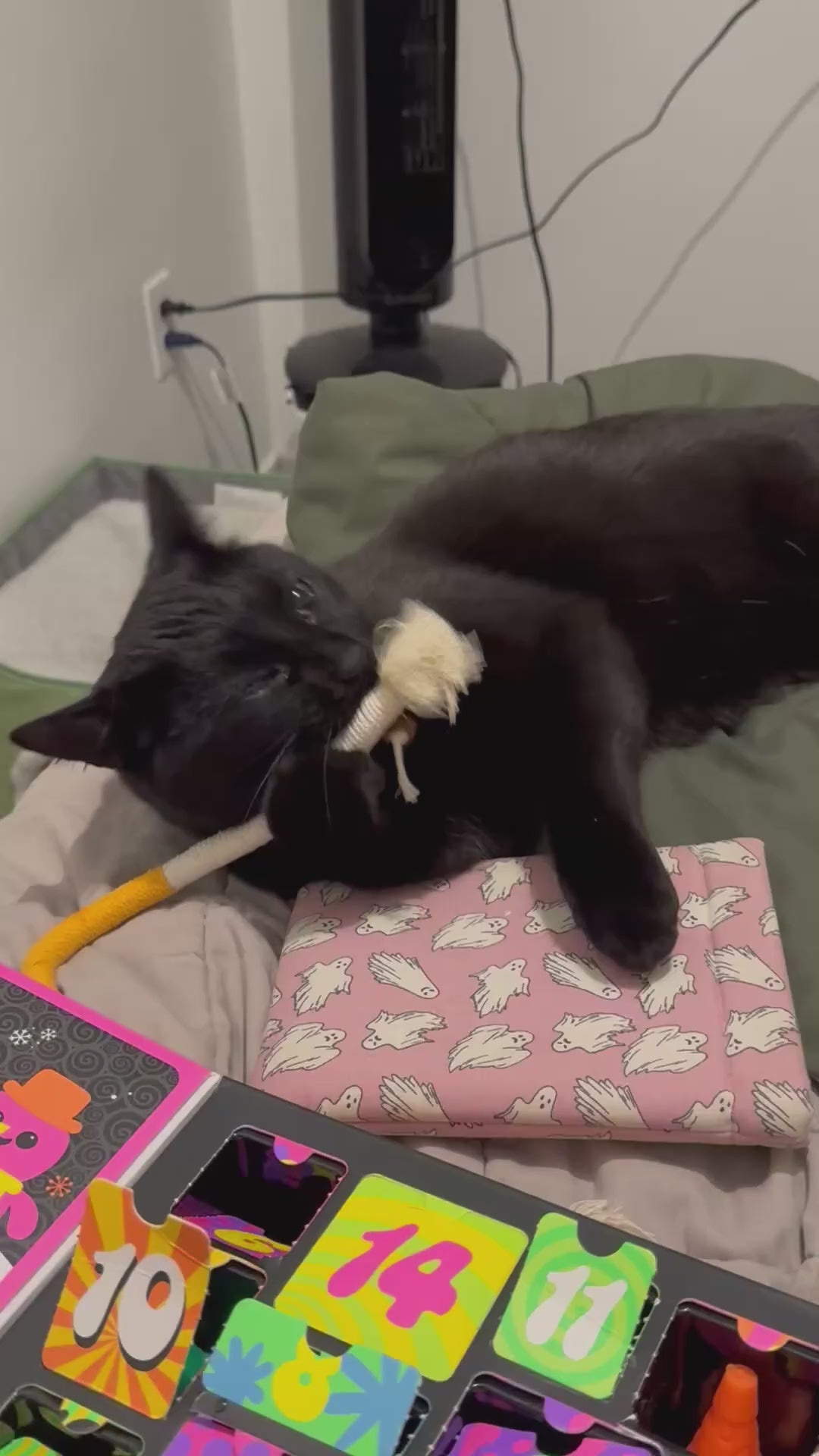 コードをかじる猫に、「だめ」は効きません。