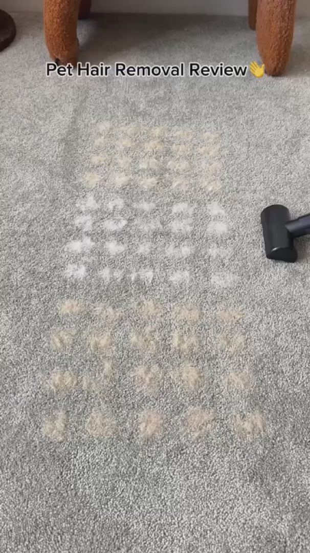 コロコロを何枚使っても、ソファの毛は減りません。