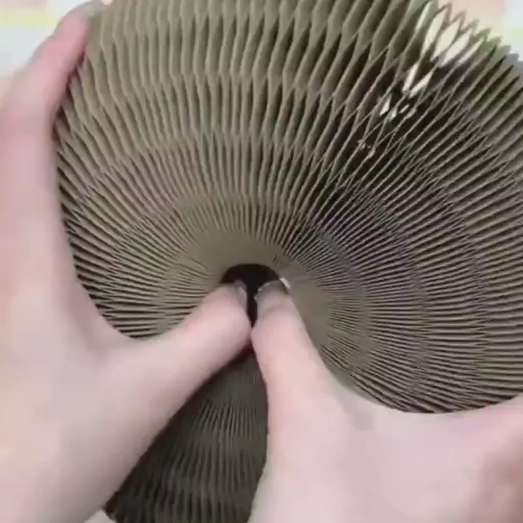 毎日、活発に、機嫌よく