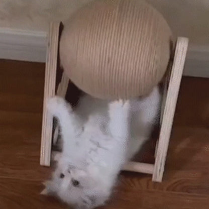 猫がScratchOrbで遊ぶ様子