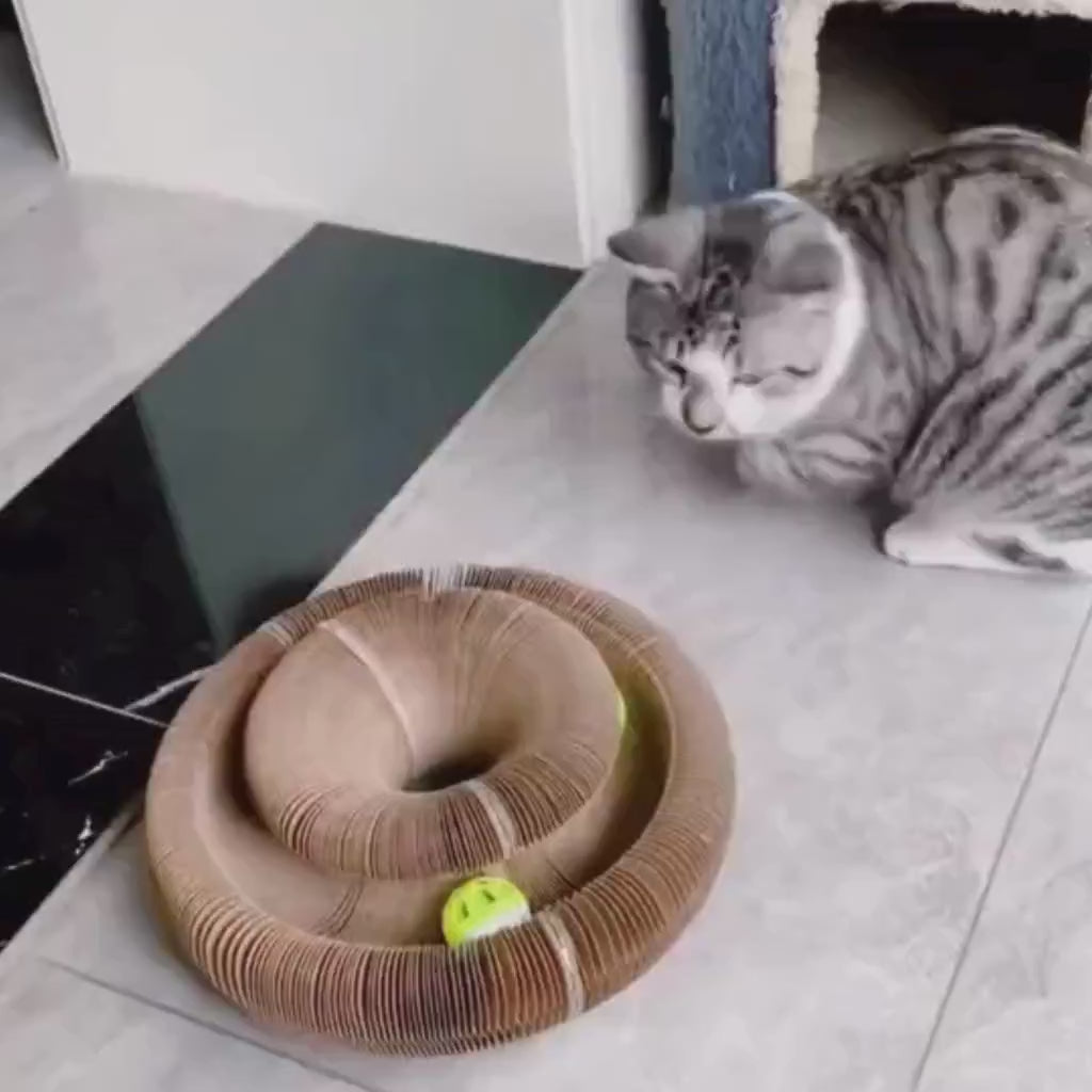 猫が本当に気に入る「その辺のもの」より、いい選択を