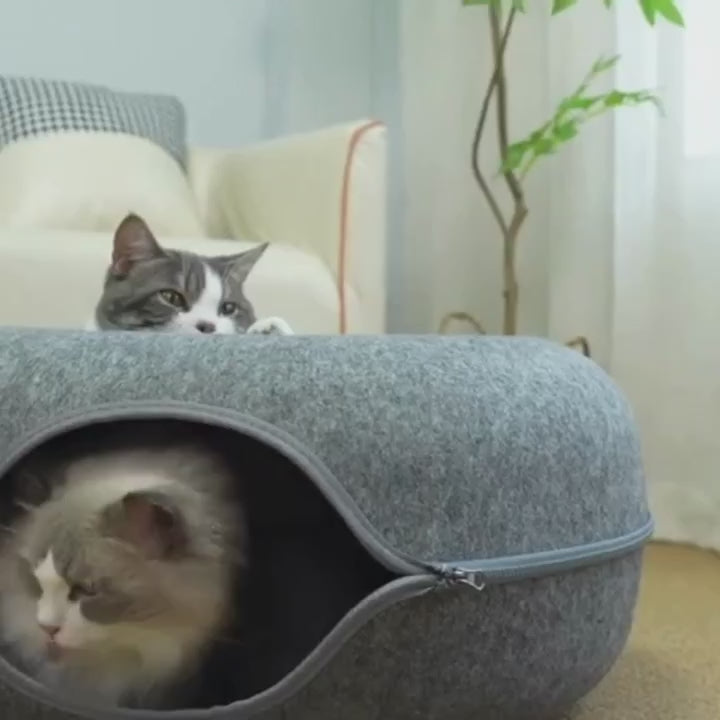 5色から、部屋に合わせて。