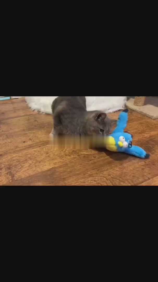 使う前に確認すること