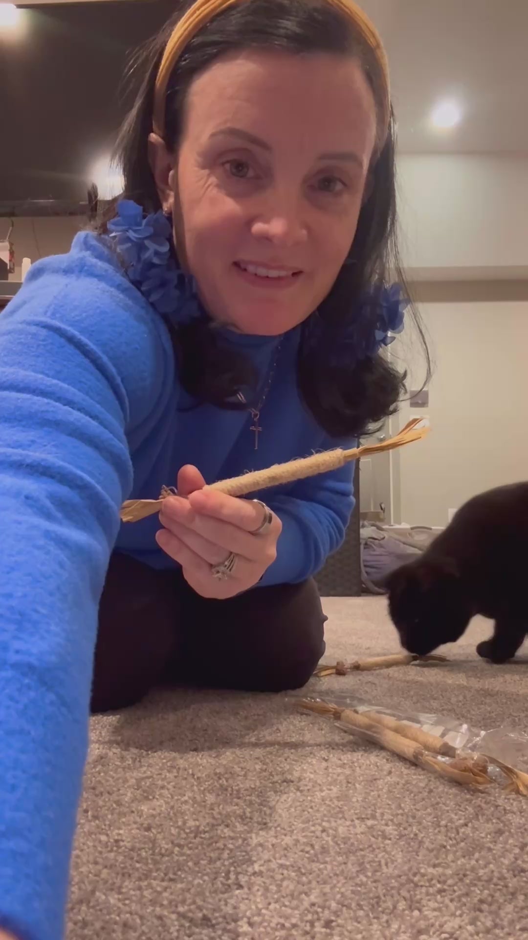猫の歯みがき、続いていますか。