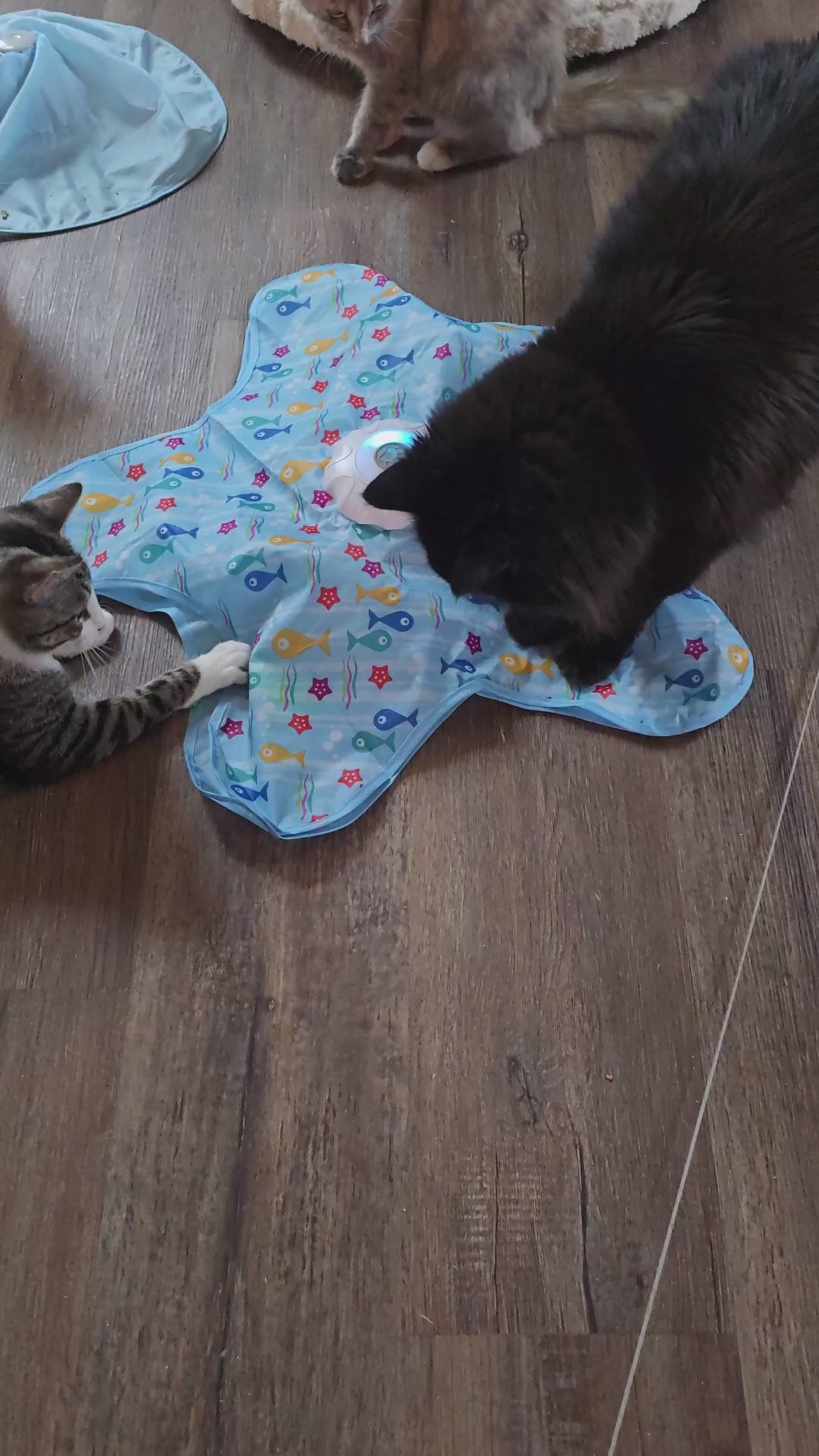 狩猟本能に火をつけます