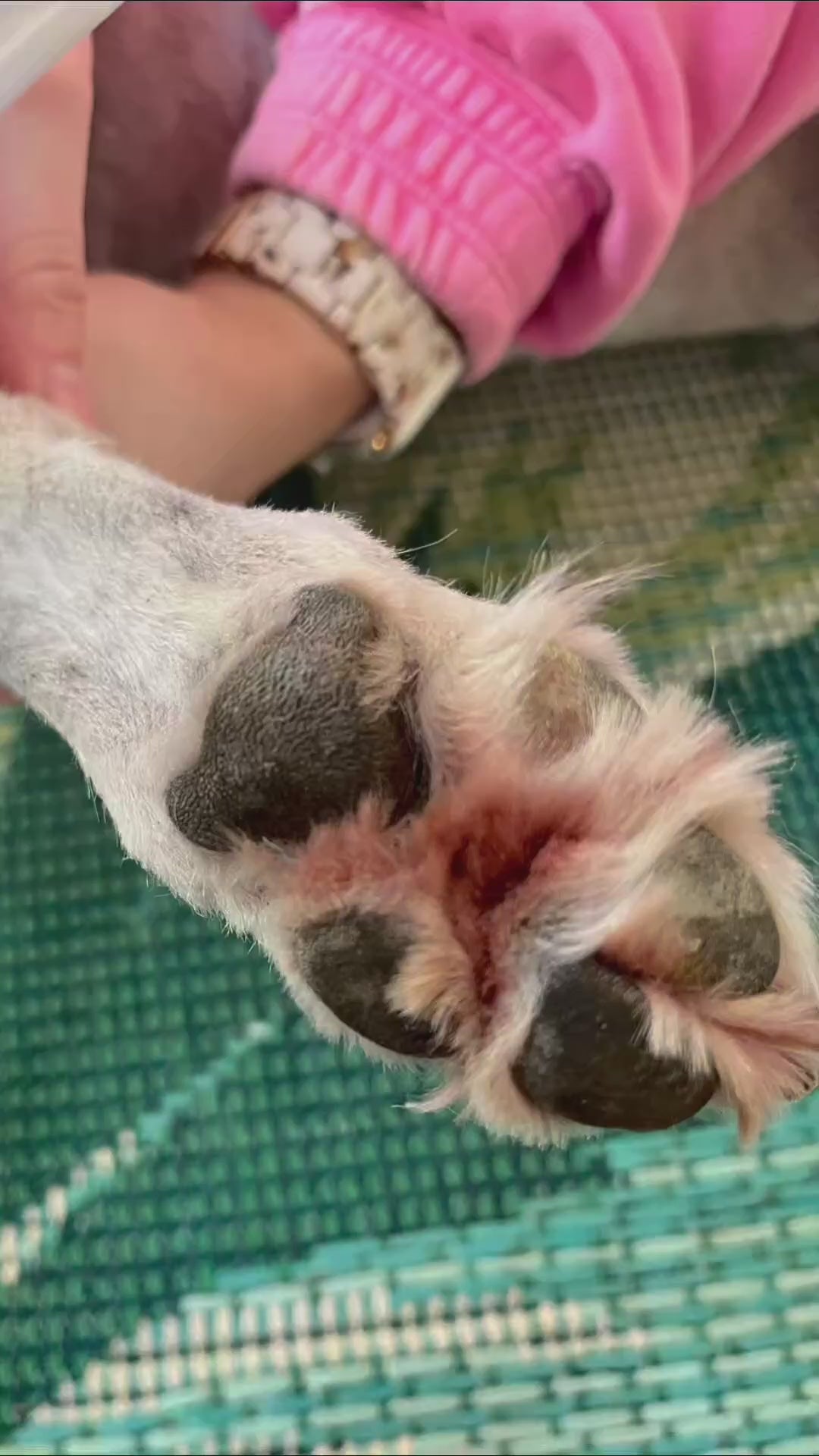 刃は外して洗えます。